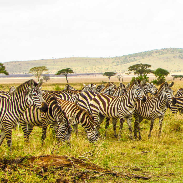 Serengeti National Park